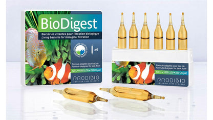 Prodibio BioDigest Bakterienmischung für Meer- und Süßwasser