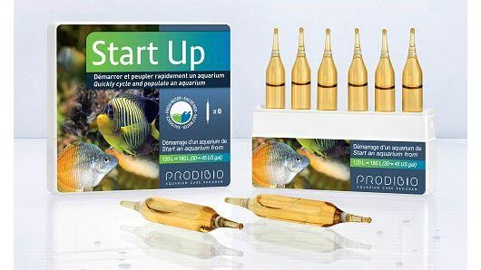 Prodibio Start Up Bakterien Meerwasser und Süßwasser Ampullen