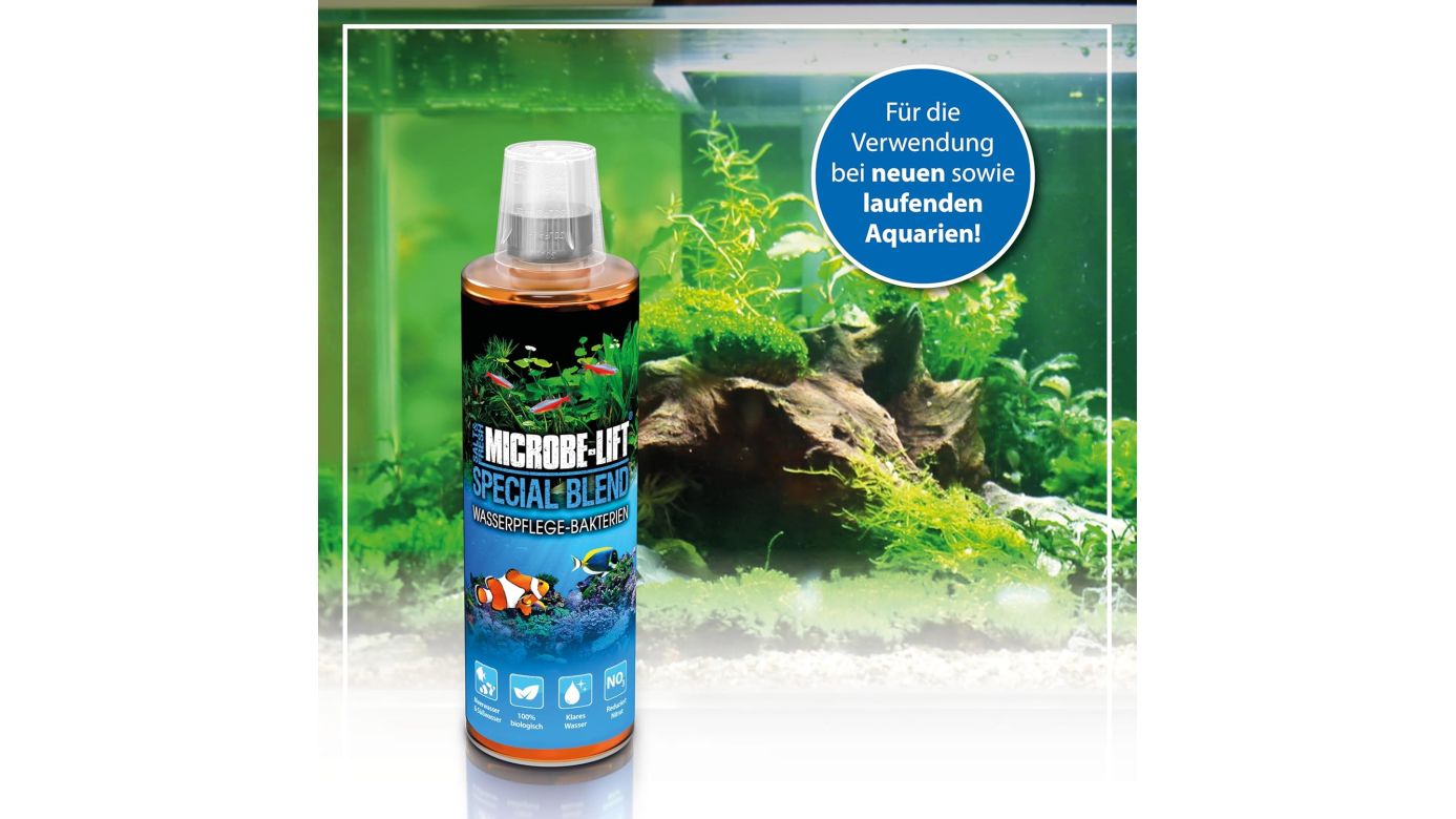 Microbe-Lift Special Blend Wasserpflege Bakterienmischung 473 ml
