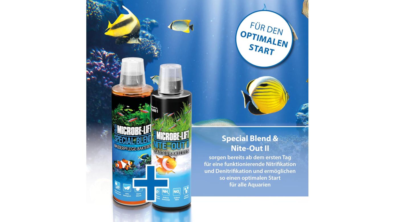 Microbe-Lift Special Blend Wasserpflege Bakterienmischung 473 ml
