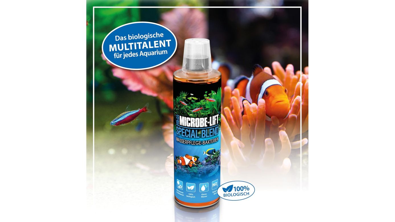 Microbe-Lift Special Blend Wasserpflege Bakterienmischung 473 ml
