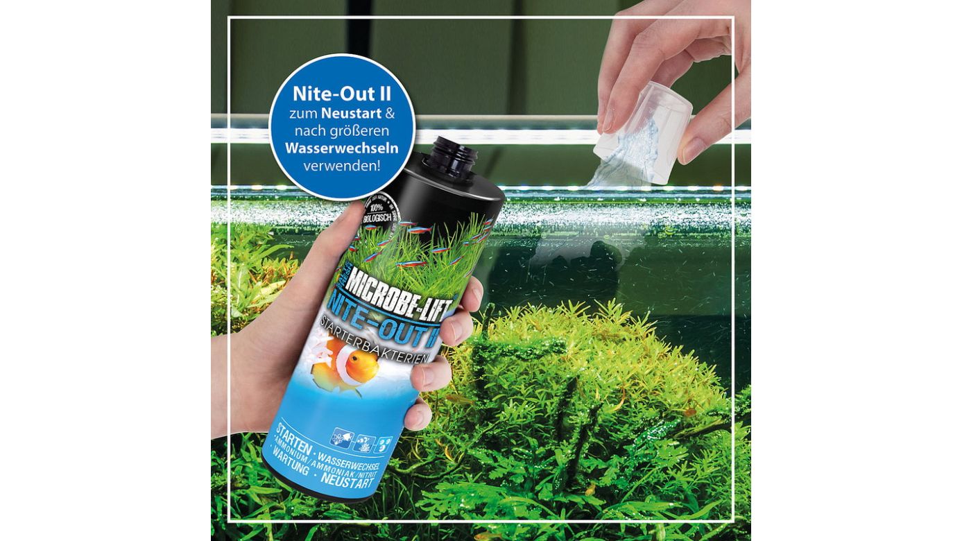 Microbe-Lift Nite-Out II Starterbakterien 236ml