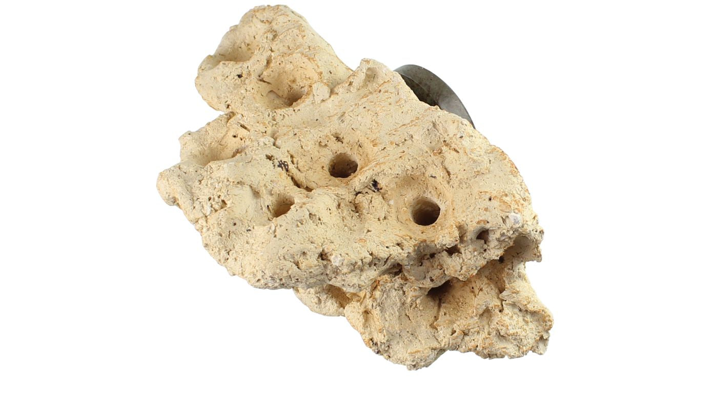 Tunze Coral Rack nano (0104.800)