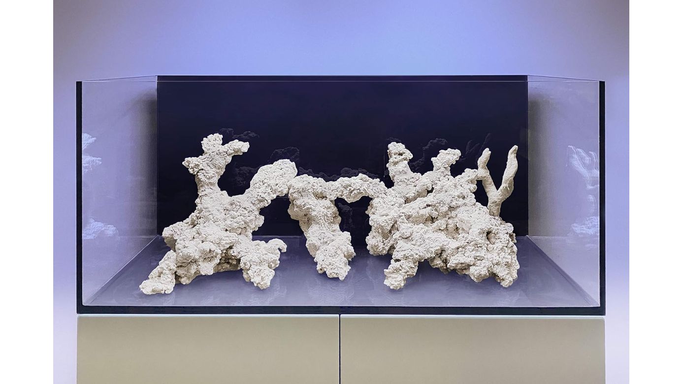 ARKA myReef-Rocks 13-20 cm (M) 20 kg natürliches Aragonitgestein