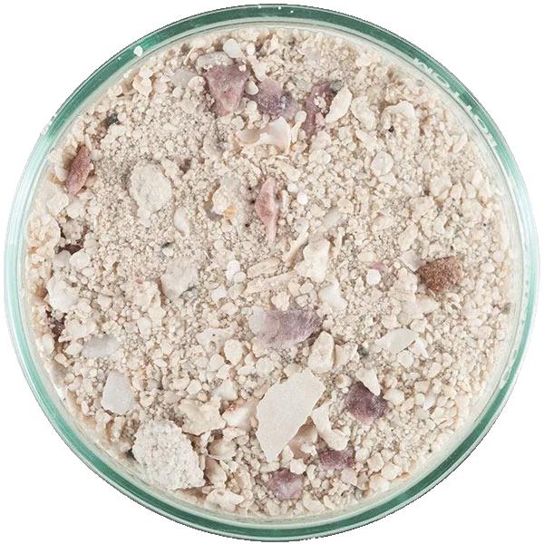 CaribSea Aragalive Bimini Pink (0,5-5,0mm) 9,07 kg