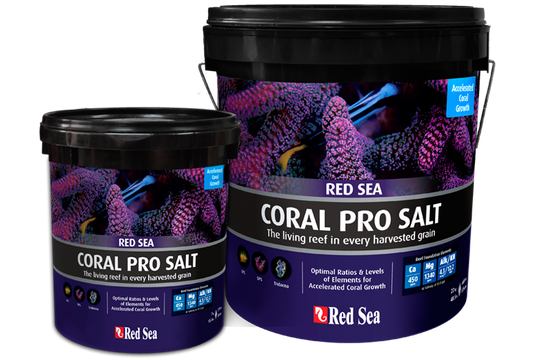 Red Sea Coral Pro Meersalz 22 kg Eimer (R11230)