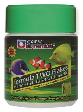 Ocean Nutrition Formula 2 Flakes mit Knoblauch 71 g