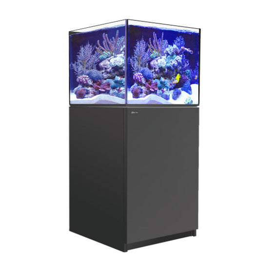 Red Sea REEFER™ 200 System G2+ Schwarz (R42461G2P-EUR)