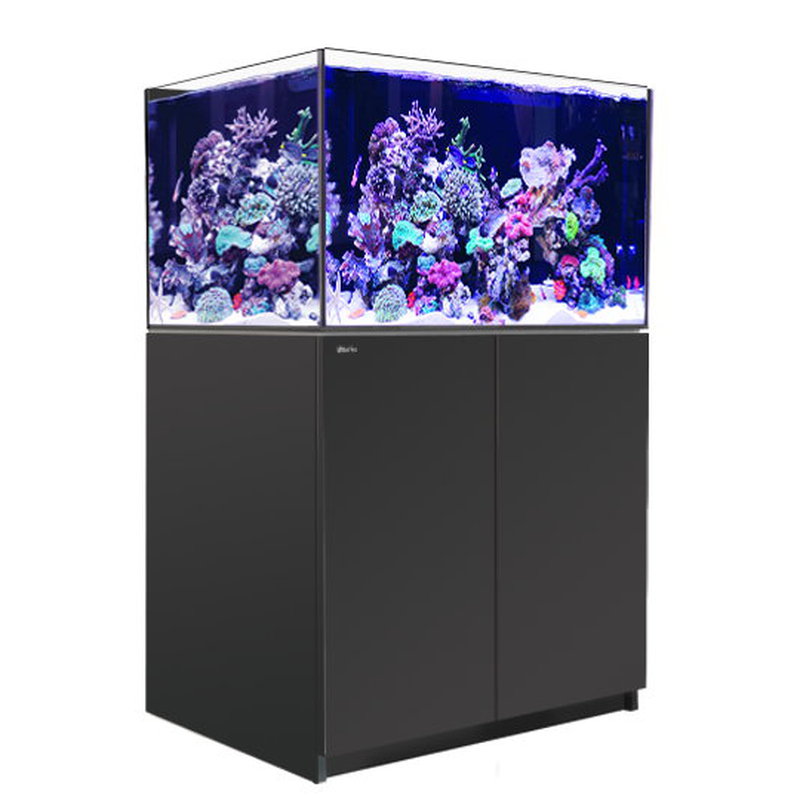 Red Sea REEFER™ 300 System G2+ Schwarz (R42471G2P-EUR)