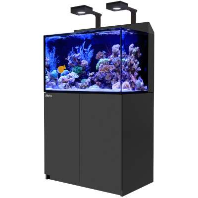 Red Sea MAX® E 260 LED (mit 2x ReefLED G2 115) Schwarz (R40040)