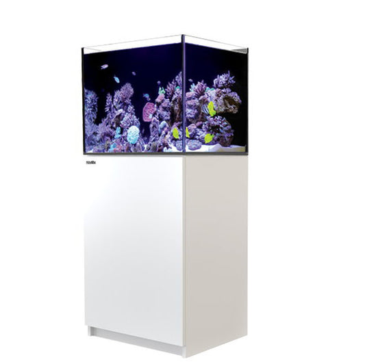 Red Sea REEFER™ 170 System G2+ Weiß (R42112G2P-EUR)