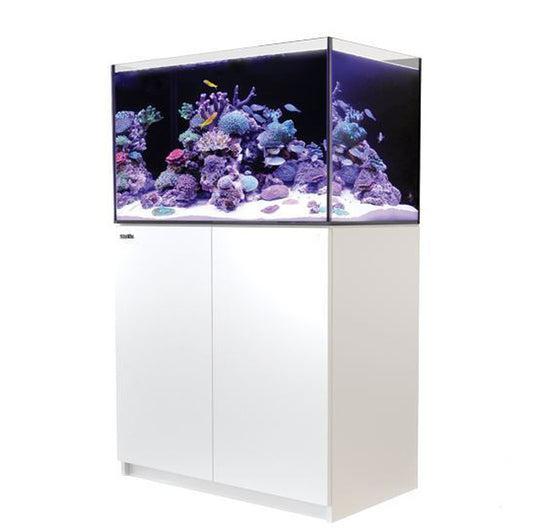 Red Sea REEFER™ 250 System G2+ Weiß (R42122G2P-EUR)