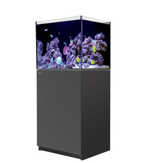 Red Sea REEFER™ 170 System G2+ Schwarz (R42111G2P-EUR)